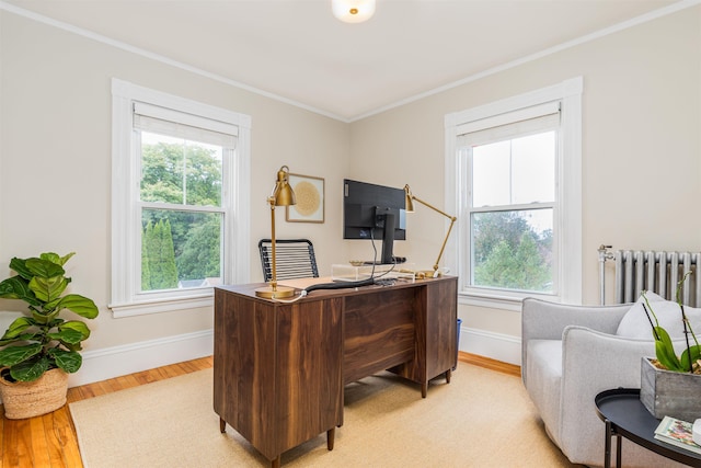 office area featuring ornamental molding, a wealth of natural light, radiator, and light wood finished floors