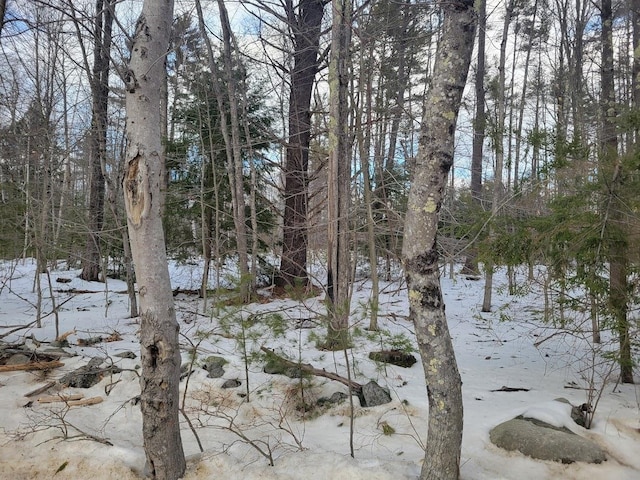 LOT26-2 Brackett Rd, New Durham NH, 03855 land for sale