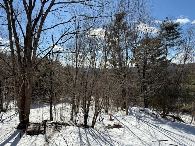 yard layered in snow with a forest view