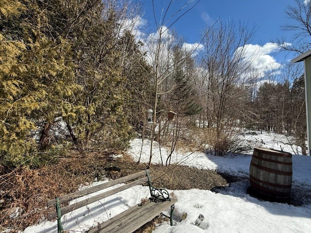 view of yard covered in snow