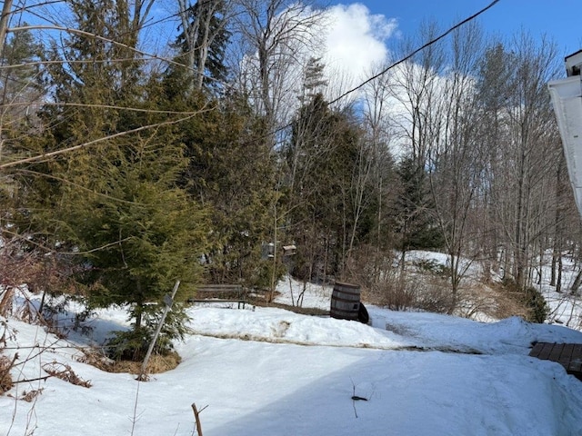 view of snowy yard