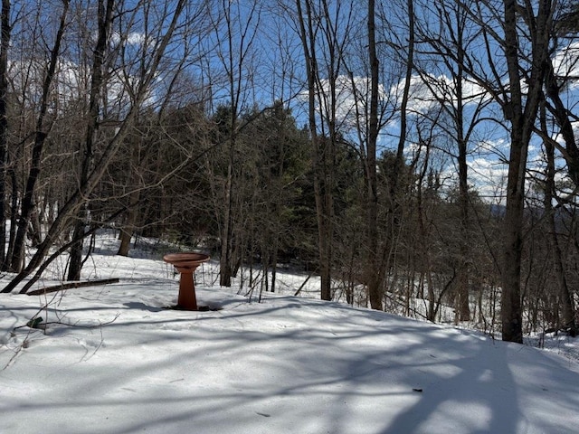 view of snowy yard