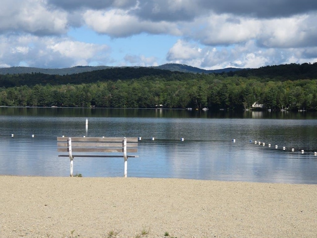 exterior space featuring a water view and a forest view