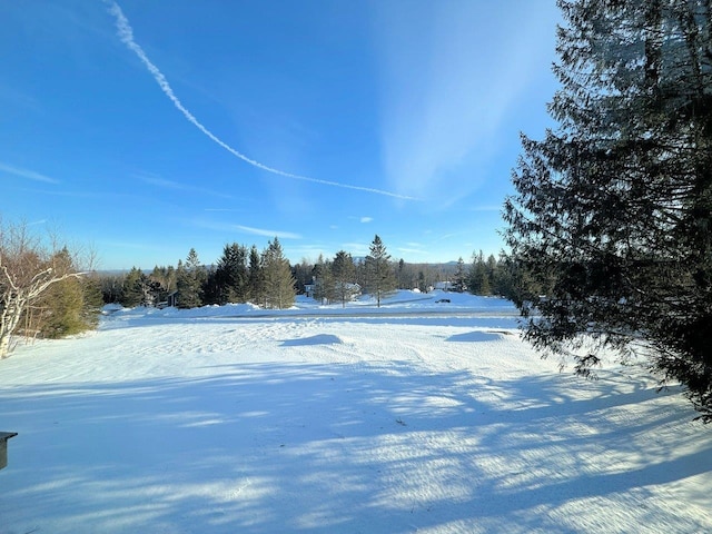 view of yard covered in snow