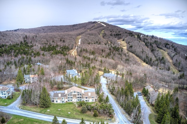 drone / aerial view with a mountain view