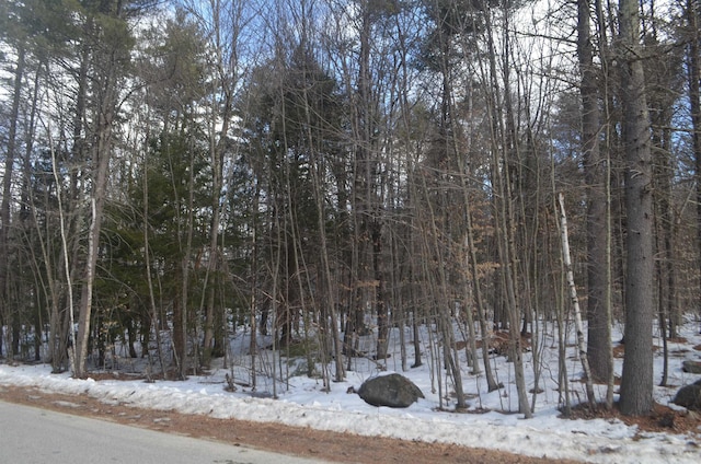 Listing photo 2 for Galloping Hill Rd, Hopkinton NH 03229