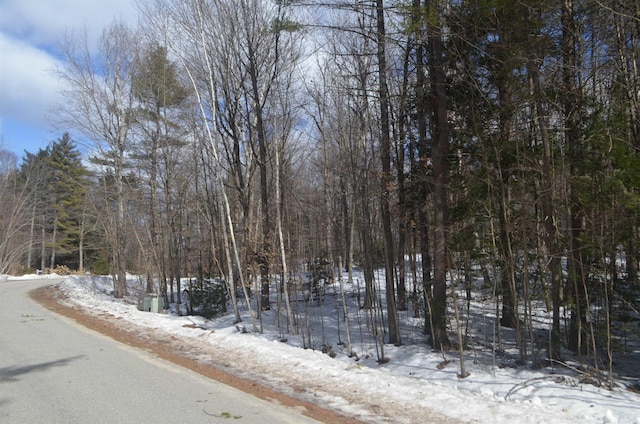 Listing photo 3 for Galloping Hill Rd, Hopkinton NH 03229