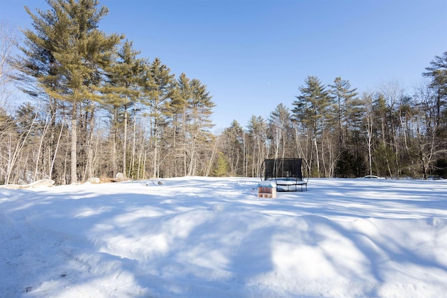 snowy yard with a wooded view and a trampoline