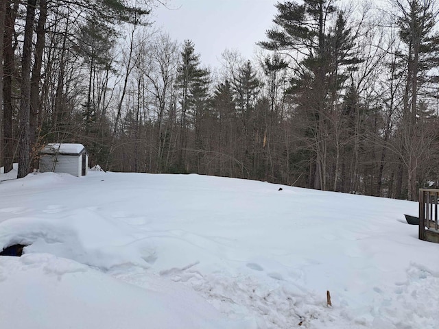 yard layered in snow with an outbuilding and a storage unit