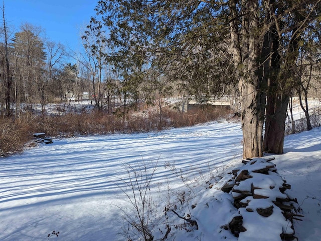 view of yard covered in snow