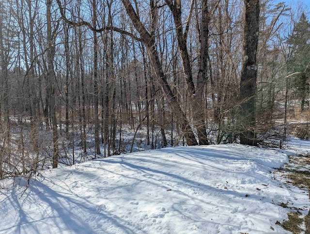 yard layered in snow with a wooded view