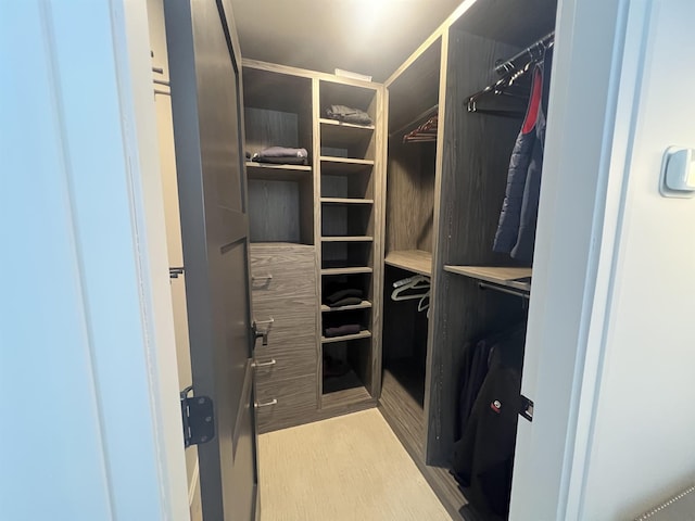 spacious closet featuring wood finished floors