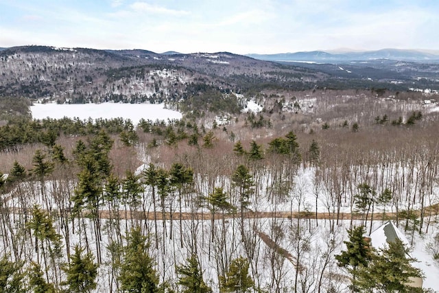 25 Upper Lakeview Dr, Madison NH, 03849 land for sale