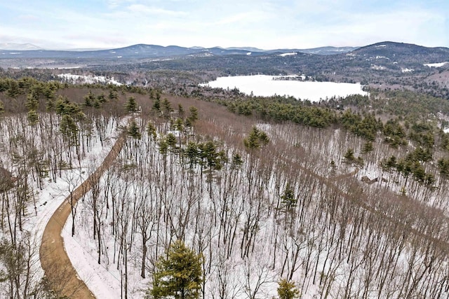 Listing photo 2 for 25 Upper Lakeview Dr, Madison NH 03849