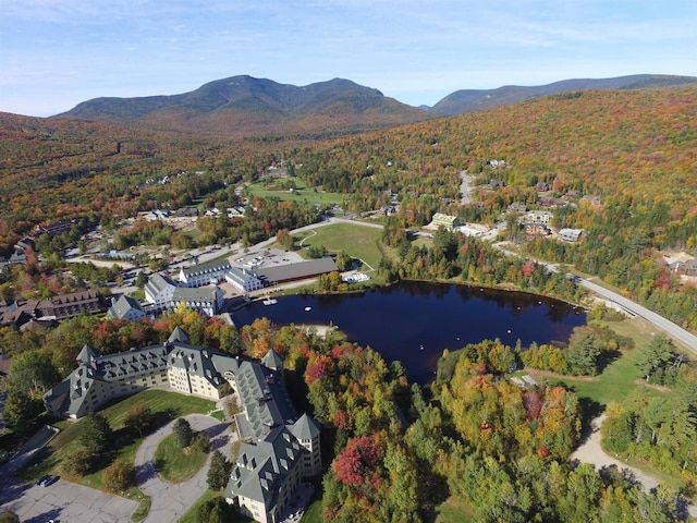 bird's eye view with a view of trees and a water and mountain view