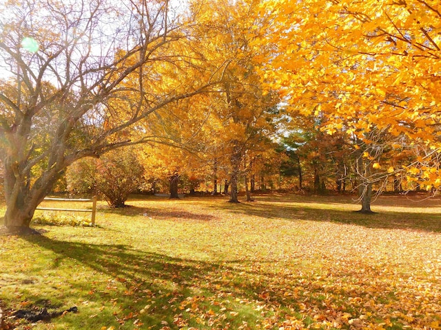 view of community featuring a lawn