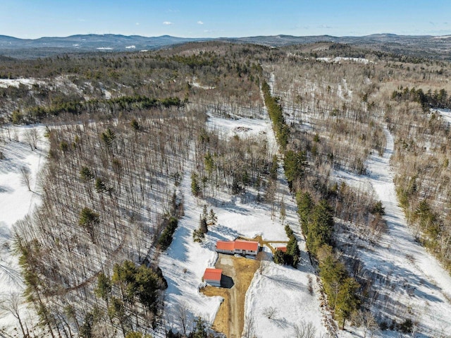 aerial view with a mountain view