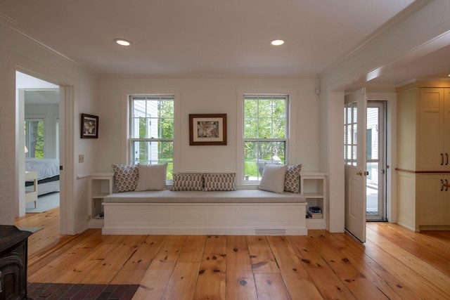 interior space with ornamental molding, light wood finished floors, and plenty of natural light