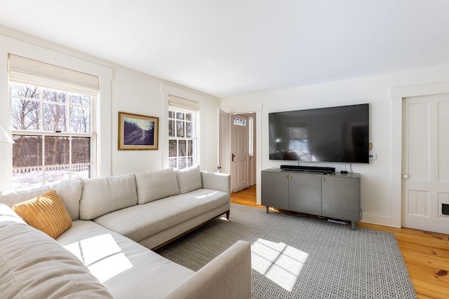 living area with wood finished floors