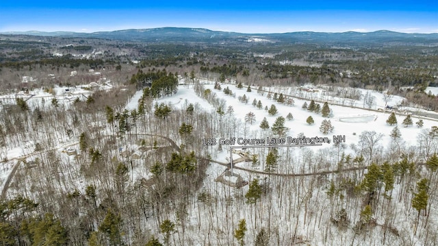 aerial view with a mountain view