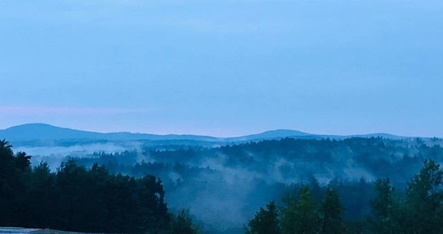 mountain view with a forest view