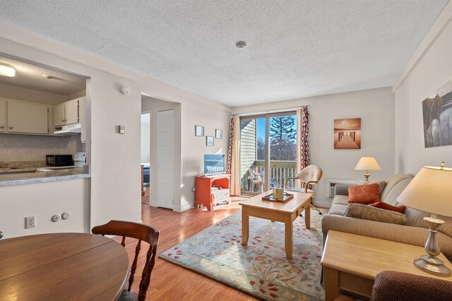 living area with a textured ceiling and light wood-style floors