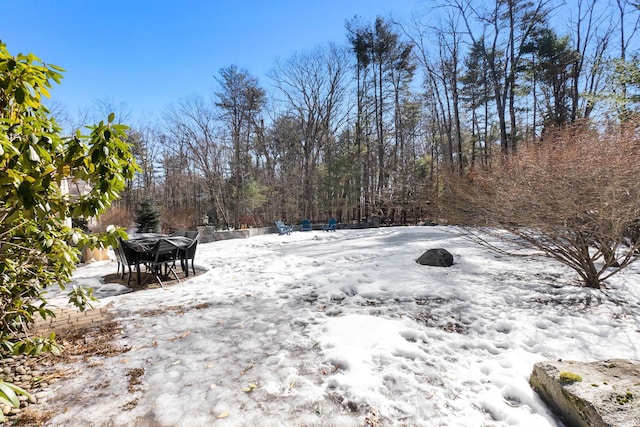 view of yard covered in snow