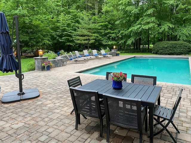 pool with a patio area