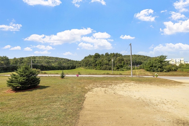 view of property's community with a yard