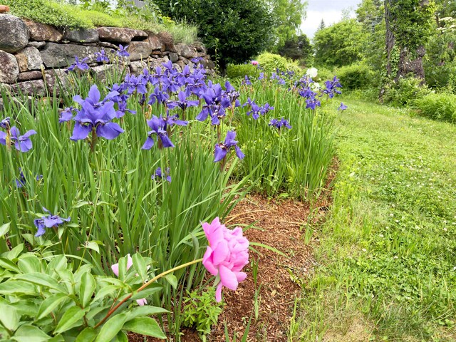 89-93 Chestnut Hill Rd Unit 1, Amherst, NH 03031