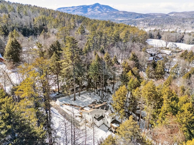 aerial view featuring a mountain view and a wooded view