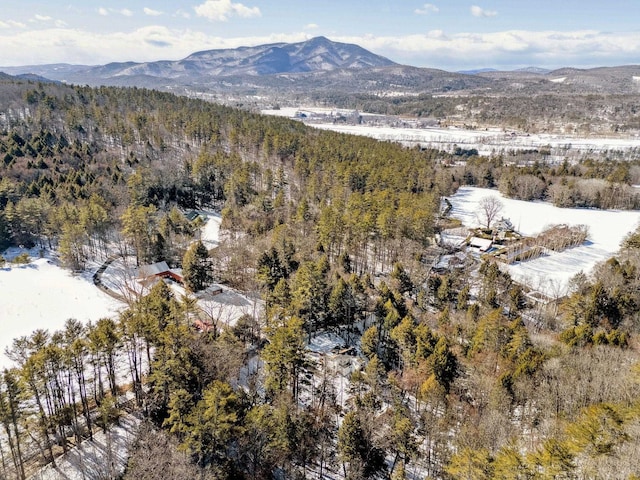 drone / aerial view featuring a mountain view and a forest view