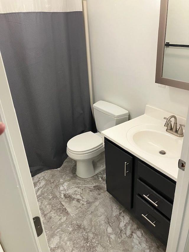 full bathroom with toilet, curtained shower, and vanity