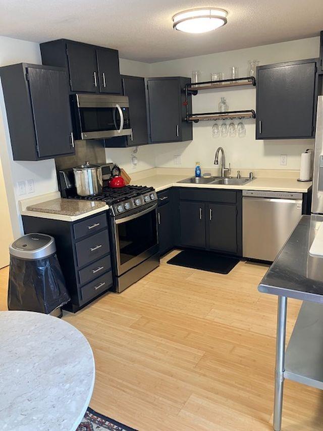 kitchen featuring a sink, light wood-type flooring, dark cabinetry, stainless steel appliances, and open shelves