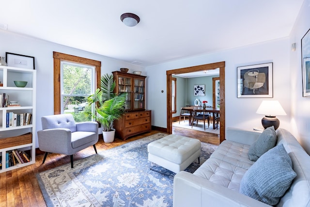 living room featuring hardwood / wood-style floors