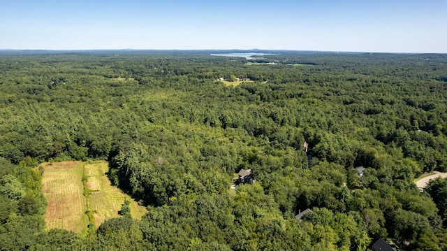 aerial view with a view of trees