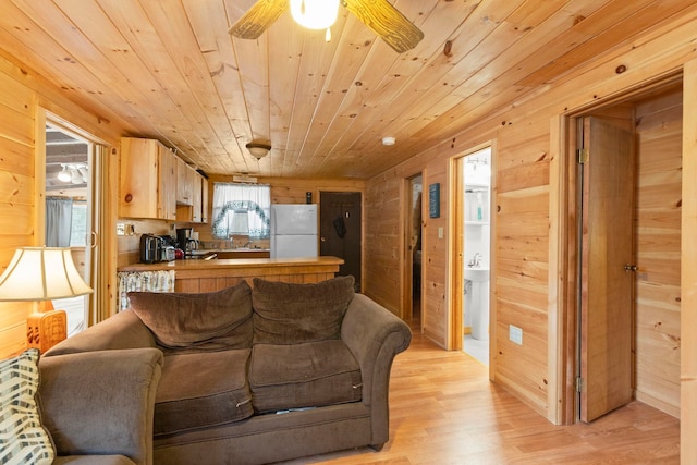 living room featuring wooden walls