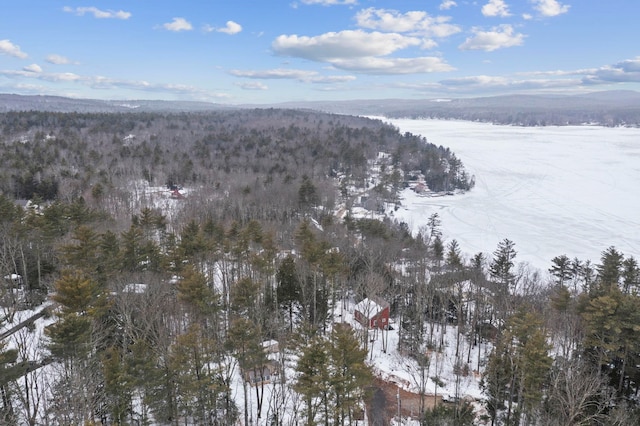 snowy aerial view featuring a mountain view and a wooded view