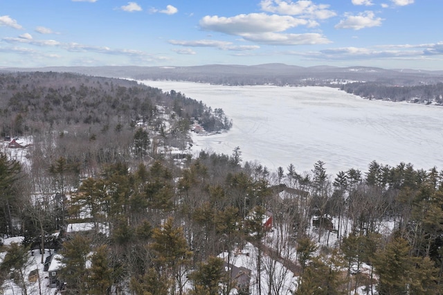 snowy aerial view featuring a mountain view and a view of trees