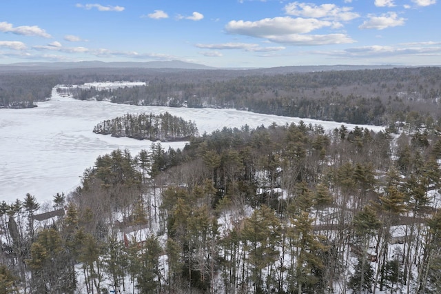 snowy aerial view featuring a mountain view and a forest view