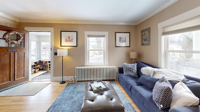 living area with a wealth of natural light, light wood-type flooring, radiator, and crown molding