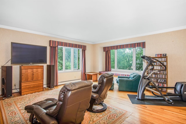 living area featuring a baseboard radiator, wood finished floors, and ornamental molding