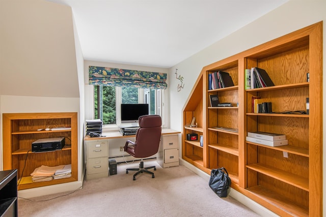 view of carpeted office