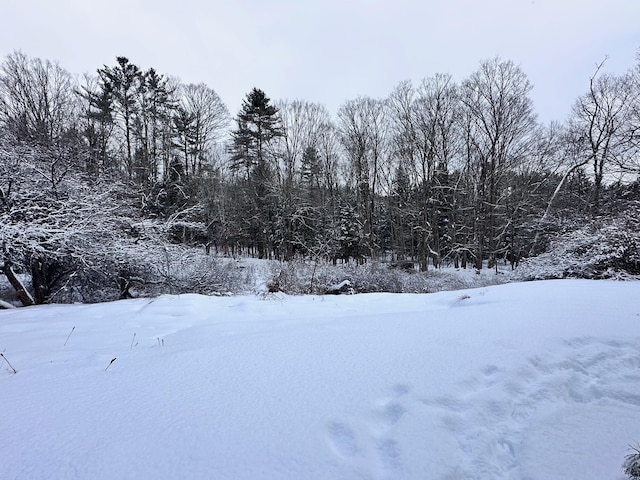 snowy yard featuring a forest view