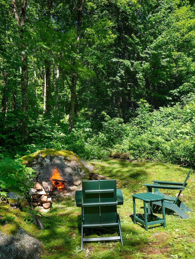 view of property's community featuring a fire pit and a wooded view