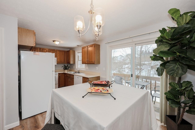 dining space featuring a healthy amount of sunlight, a chandelier, and light wood finished floors