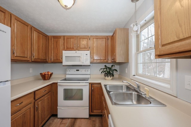 kitchen featuring light countertops, brown cabinets, white appliances, a textured ceiling, and a sink