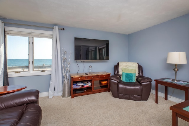 living area featuring baseboards and carpet