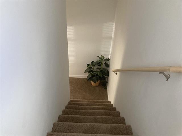 stairway with carpet