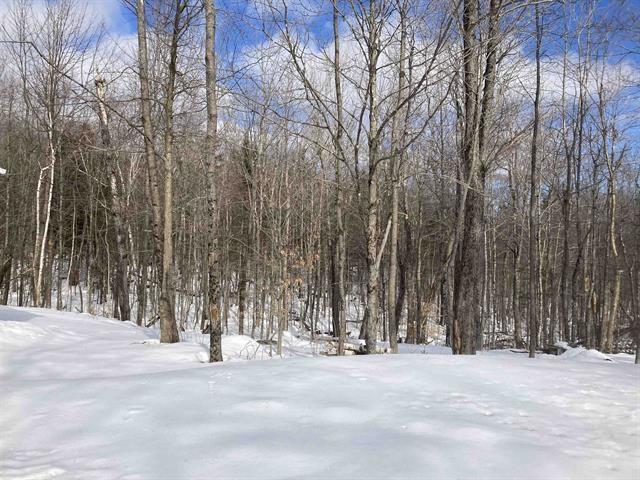 view of yard layered in snow